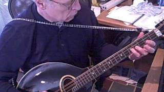 Galway Hornpipe  Mandocello [upl. by Hardan756]