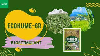 Ecohume Gr  The Biostimulant from MARGO Paddy [upl. by Eardna]