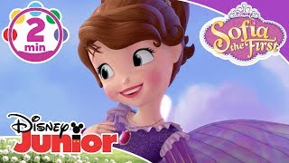 Sofia The First  The Fairy Way Music Video 🎶  Disney Kids [upl. by Hendry]