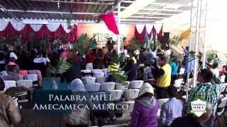 Alabanza Palabra Miel Amecameca [upl. by Rizan]