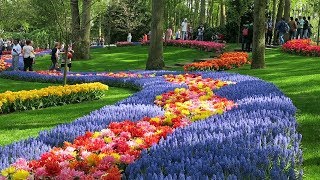 Keukenhof 2019 [upl. by Merill818]