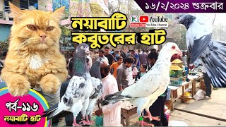 সবথেকে বড় কবুতরের হাট পর্ব১১৬ Largest pigeon market in Khulna খালিশপুর নয়াবাটি চিত্রালী খুলনা [upl. by Ennaeiluj]