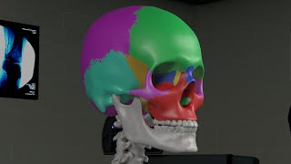 Chapter 1 Basic Sinus Anatomy [upl. by Rramo896]