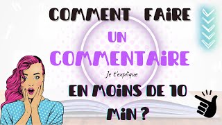 Faire le commentaire dun poème  Méthode bac de français [upl. by Eirrab]