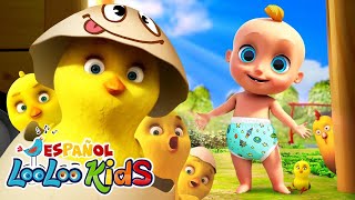 🐤🐥Los Pollitos Dicen Pio Pio y muchas más canciones infantiles  LooLoo Kids Español [upl. by Sirc514]