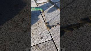 Iniziamo a stuccare le lastre di granito stone patio concrete skills skill tiktok trend [upl. by Frodi192]