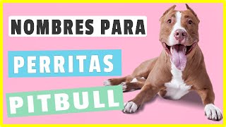 ✅ Nombres Para Perritas PITBULL mas de 50 Nombres Increibles [upl. by Laius]