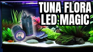 Kessil H160 Tuna Flora LED Refugium Light Unboxing Setup amp Review [upl. by Aynosal]