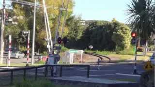 train 561 in wanganui 22313 [upl. by Ettenuahs]