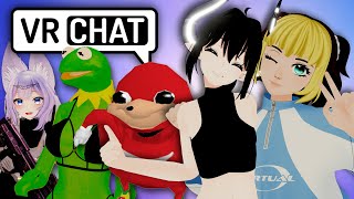 15 MORE Types of VRChat Players [upl. by Onra282]