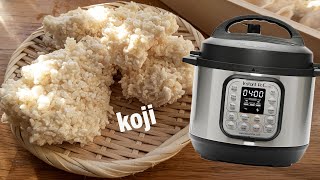 HOW TO MAKE RICE KOJI IN A PRESSURE COOKER foolproof stepbystep recipe [upl. by Anna]