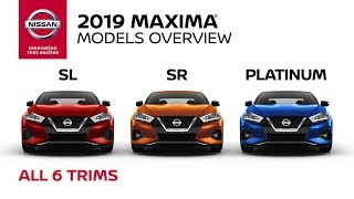 2019 Nissan Maxima Sedan Walkaround amp Review [upl. by Htrahddis884]