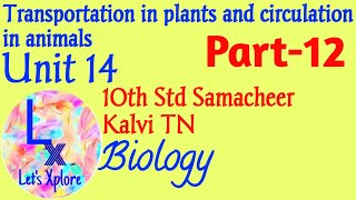 10 std Biounit 14 circulation in animalsComponents of blood  Made easy Part 12Samacheer TN [upl. by Cyrille]