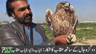 How to Trap Bonellis Eagle with Dogaza Trap  Rare Video of Eagle Trapping  Amazing Moments [upl. by Aicenev272]