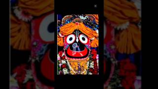 Jay Jagannath 🙏🏻 trendingshorts jagannathlover love trending [upl. by Redlac977]