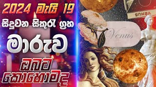 2024 මැයි 19 සිදු වන සිකුරැ මාරැව ඔයාට කොහොමද 💖 lagnapalapala grahamaru Planet Venus සිකුරැමාරැව [upl. by Dnomayd]