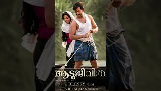 ആടുജീവിതം വൻഹിറ്റ്Amala Paulന് ഇരട്ടിമധുരംaadujeevitham movie amalapaul  adu jeevidham song [upl. by Aicilev273]