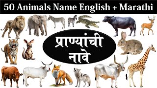 50 Animals name  Animals Name In Marathi  Animals Name In English  Pranyanchi Nave [upl. by Uriah]