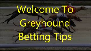 Greyhound Racing Betting Tips 6 [upl. by Kaspar]