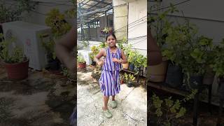 Bacha Bacha song  Aari  dance subscribe ytshorts [upl. by Euell]