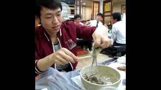 Korean eating living Octopus San Nakji 산낙지 [upl. by Leterg]