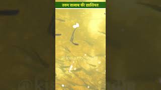 मछली पालन के लिए तालाब कैसा होना चाहिए  Fish Farming In Pond  shorts [upl. by Eelah]