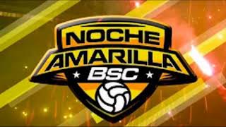 Noche Amarilla 2018 En Vivo [upl. by Elletsyrk496]