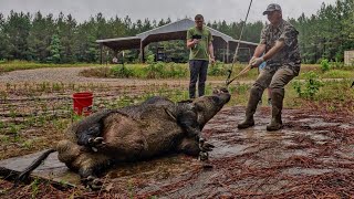 Trapping and hunting GIANT hogs with Kendall Gray [upl. by Arah]