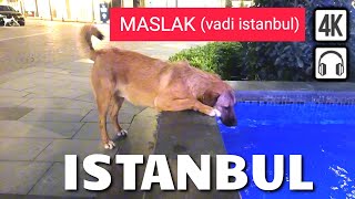 VADI ISTANBUL Night Walk Super Luxury Mall MASLAKISTANBUL TOUR [upl. by Nart]