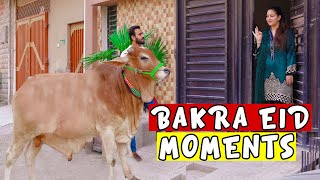 Bakra eid moments 2020 by Peshori vines [upl. by Carbone228]