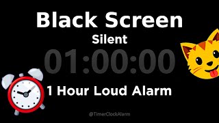 Black Screen 🖥 1 Hour Timer Silent 1 Hour Loud Alarm [upl. by Alahs]