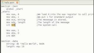 Assembly Language Tutorial 11 Making System Calls [upl. by Cristine57]