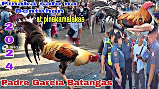 PinakaMALAKAS na BENTAHAN Ng MANOK sa Probinsya Ng BATANGAS padre Garcia batangas Feb 2024 [upl. by Aioj854]