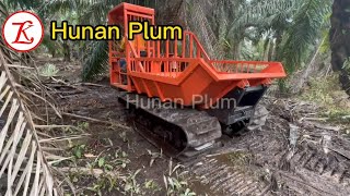 Palm oil tractor MINI DUMPER CRAWLER PM 3500W MINIDUMPER MINICARGO [upl. by Ardekan]