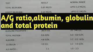 AG ratio kya hota hai Albumin Globulin and total protein LFT report [upl. by Charlean812]