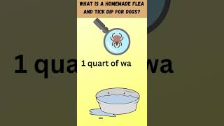 What is a homemade flea and tick dip for dogsshorts [upl. by Adrianne]