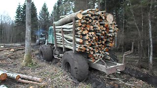 Homemade forwarder stuck in mud extreme conditions [upl. by Rockie334]