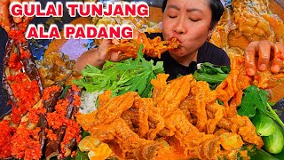 MASAK GULAI TUNJANG ALA RUMAH MAKAN PADANG  SAMBAL MERAH TERONG UNGU [upl. by Guod]