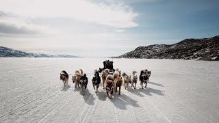 Twin Dog Sledding Mushers In Greenland [upl. by Tybalt]