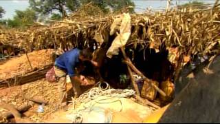 Children Mining Gold in Mali [upl. by Eicnarf]