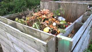 10 of the best Composting tips  Easy composting at home [upl. by Ludovico900]