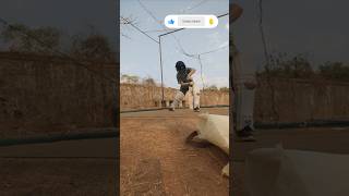 I Hit The Bowler😱 Watch till the end shorts shots cricket cricketlover amazingshot [upl. by Honeyman]