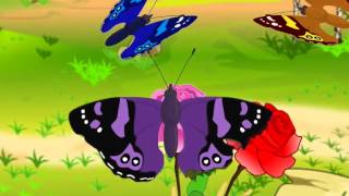 Maths  Symmetry in nature  Animation  English [upl. by Arita800]