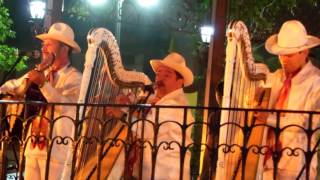 El Querreque con grupo jarocho en Coyoacán Ciudad de México [upl. by Stormie]