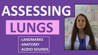 Lung Auscultation Landmarks Sounds Placement Nursing  Assessing Lungs Part 1 [upl. by Nodnrb]