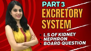 Understanding the Excretory System The Kidney and Nephron Explained  Biology Class 10  DRUB [upl. by Dlorrej]