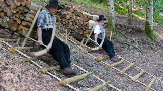 Dangerous but Genius Sliding Technique They Use to Transport Tons of Wood [upl. by Liauqram]