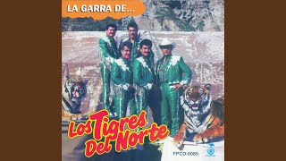 En que Falle Los tigres del Norte Letra [upl. by Norb]