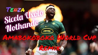 Tenza  Sicela Uxolo Nothando Amabokoboko Springboks World Cup Remix  Wouks1985 [upl. by Namialus]