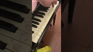 Chiquitita on piano  ABBA shorts [upl. by Haynes956]